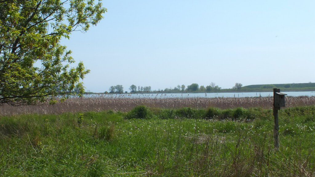 Second Marsh - Oshawa - Ontario