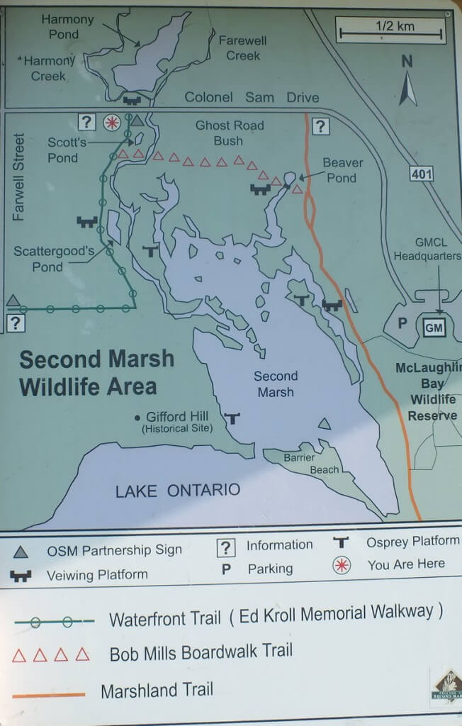 Second Marsh map - oshawa - ontario