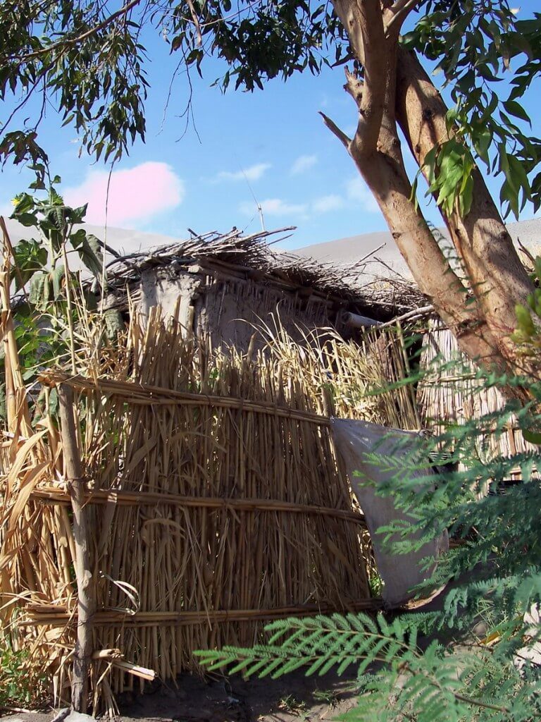 bamboo fences in sand dune village - camana - peru