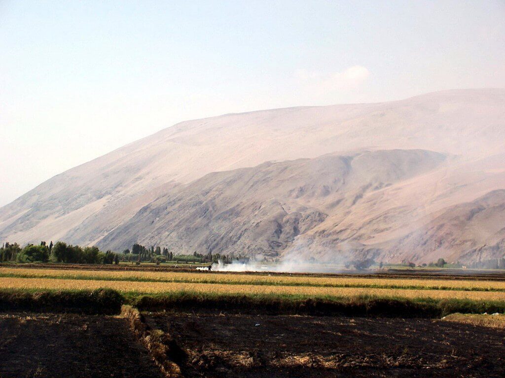 burning fields at camana - peru