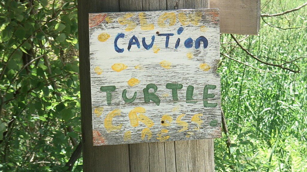 Road sign caution turtle crossing - near forks of the credit provincial park - ontario