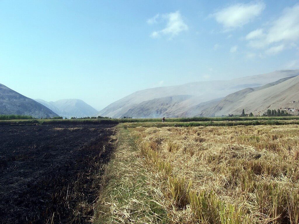 farm fields along camana river - peru