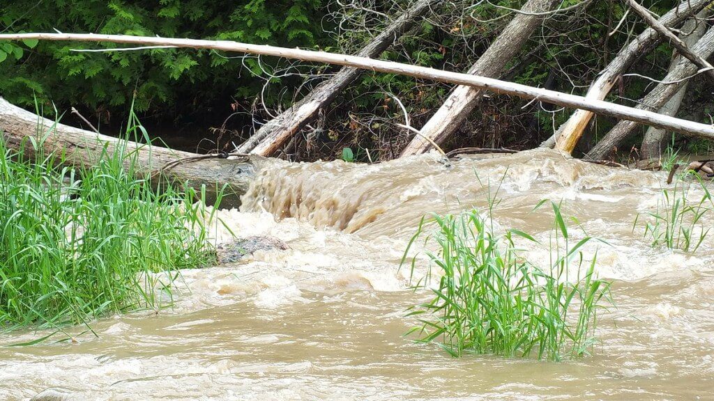 green river, whitevale, ontario