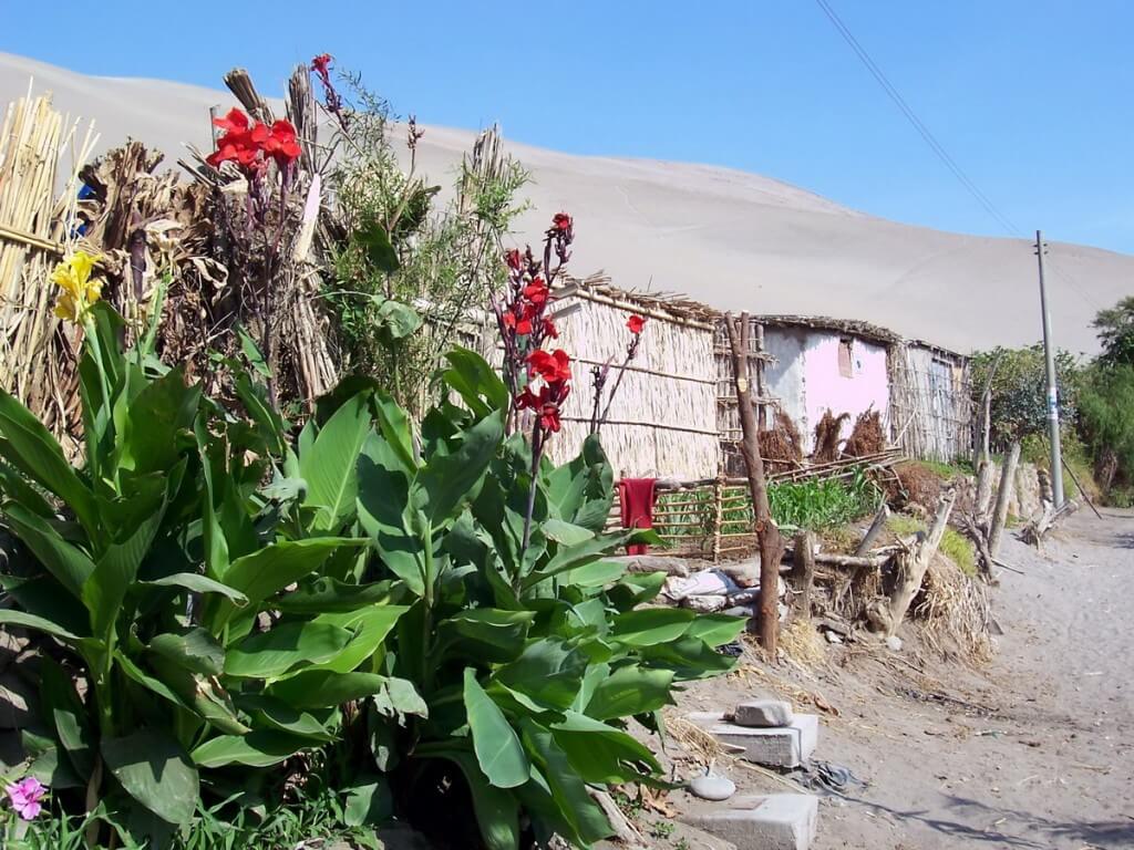 huts in sand dune village - camana - peru