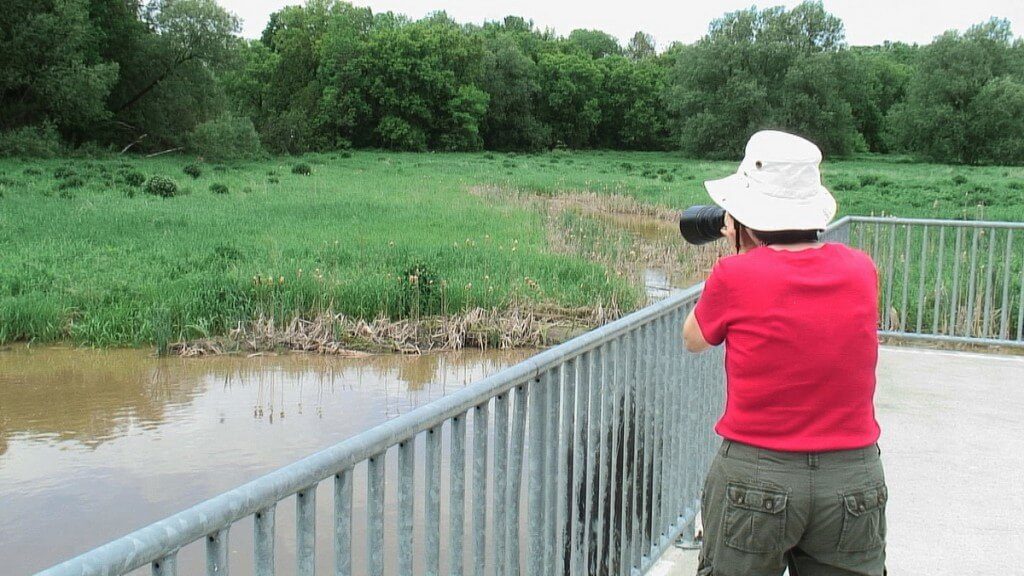 jean takes picture of an eastern phoebe - whitevale - ontario