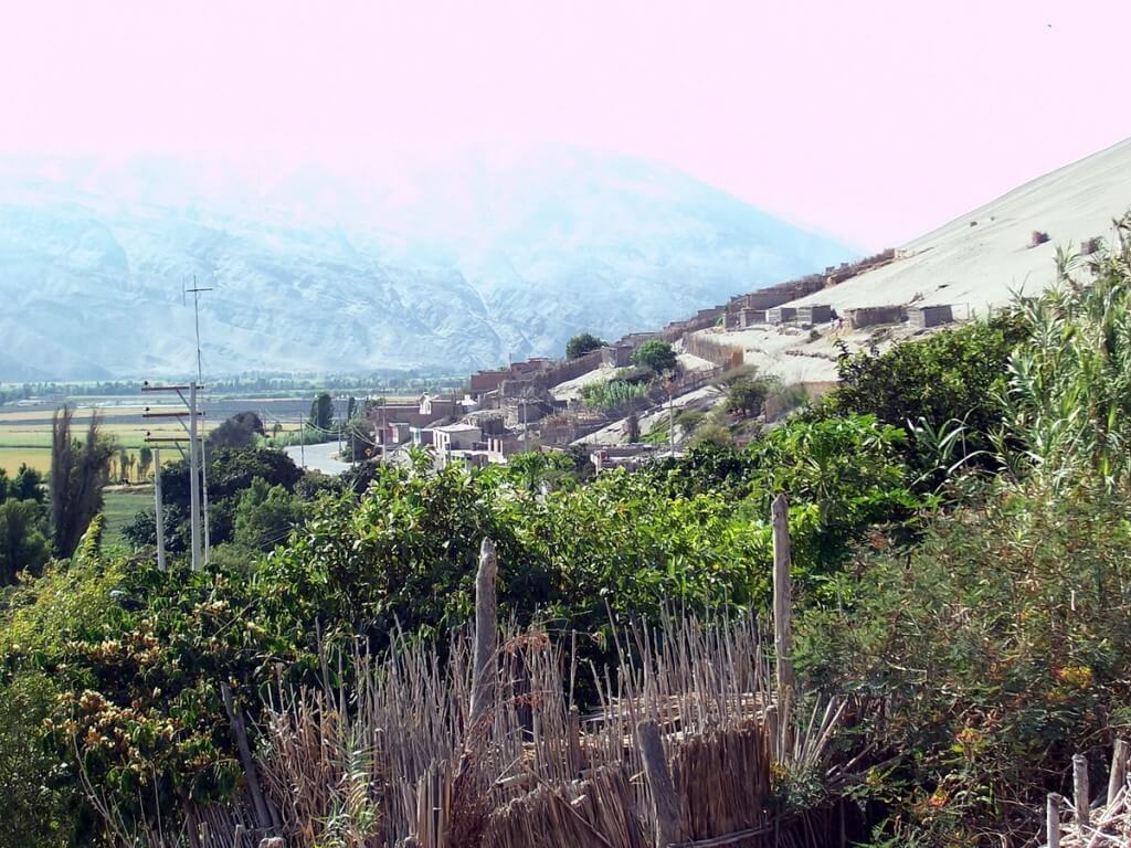 sand dune village on side of sand dune - camana - peru