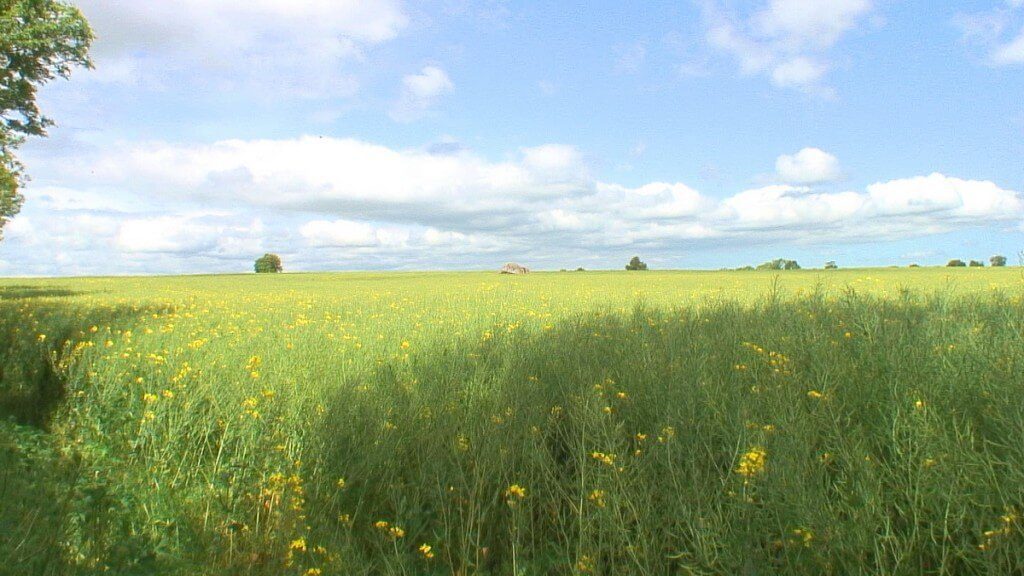 An image of the farm field that the Brownshill Portal Tomb sits in, in County Carlow, Ireland. Photography by Frame To Frame - Bob and Jean.