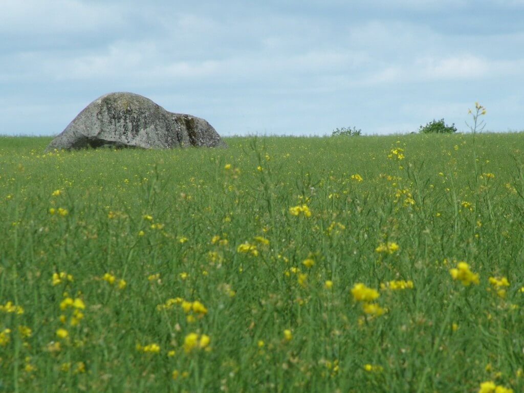 An image of the top of the Brownshill Portal Tomb sitting in a farm field in County Carlow, Ireland. Photography by Frame To Frame - Bob and Jean.