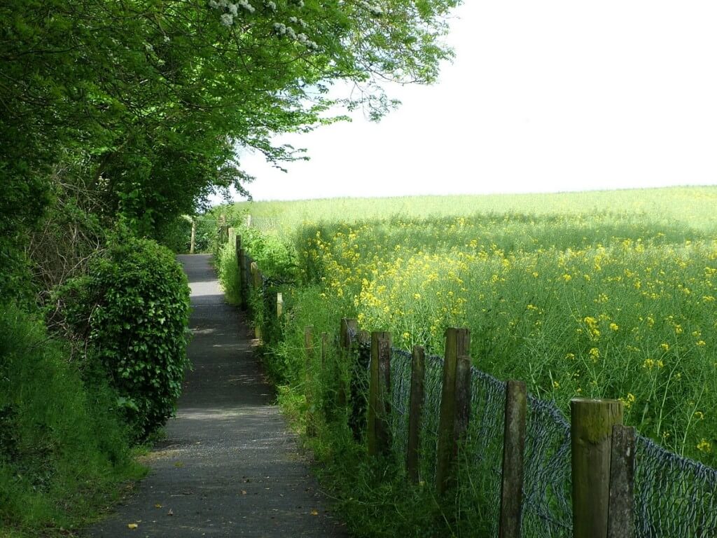 An image of the walkway through a farm field to the Brownshill Portal Tomb in County Carlow, Ireland. Photography by Frame To Frame - Bob and Jean.