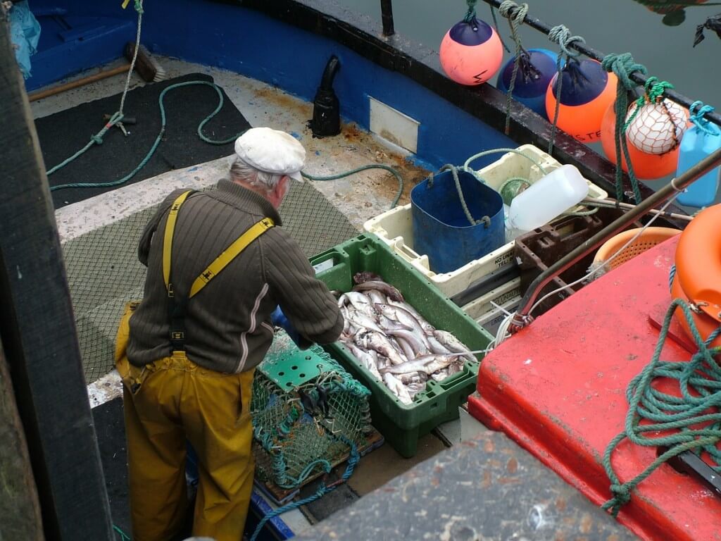 fisherman prepares lobster trap in dunmore east harbour in county waterford - ireland