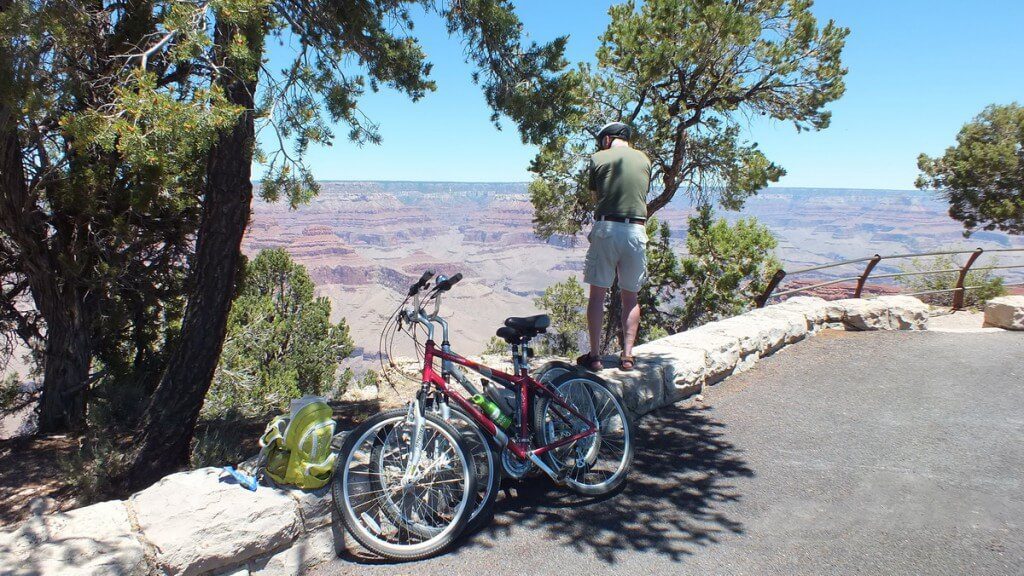 Bob films Condor flying in Grand Canyon