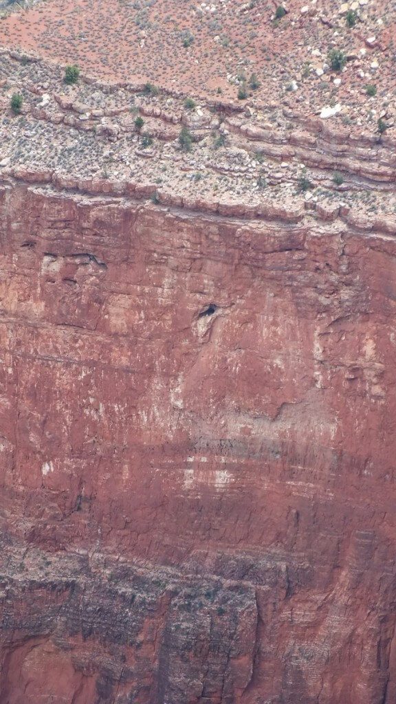 Condor nest cave - Battleship Rock - Grand Canyon