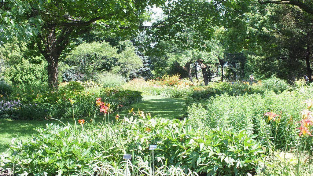 Daylily Garden at Montreal Botanical Garden