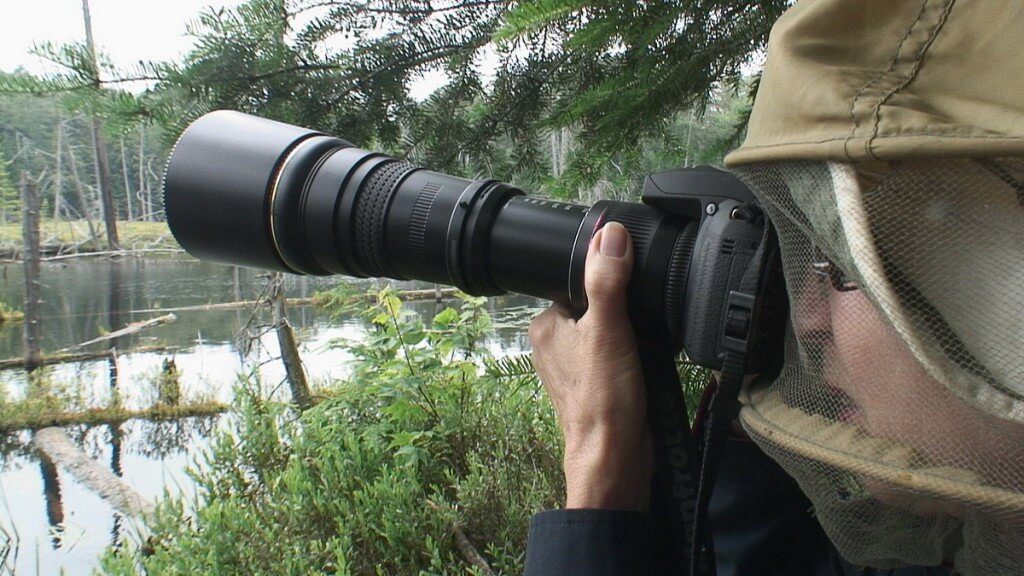 Jean, Great Blue Heron rookery, oxtongue lake