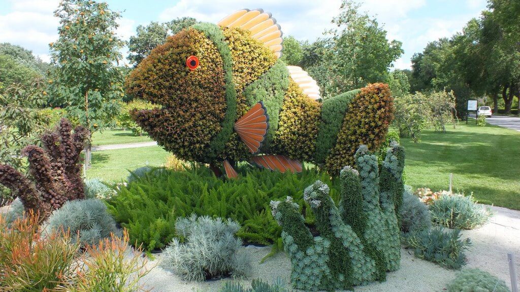 Little Clown Fish and Its Sea Anemone - Mosaiculture - Montreal Botancial Gardens