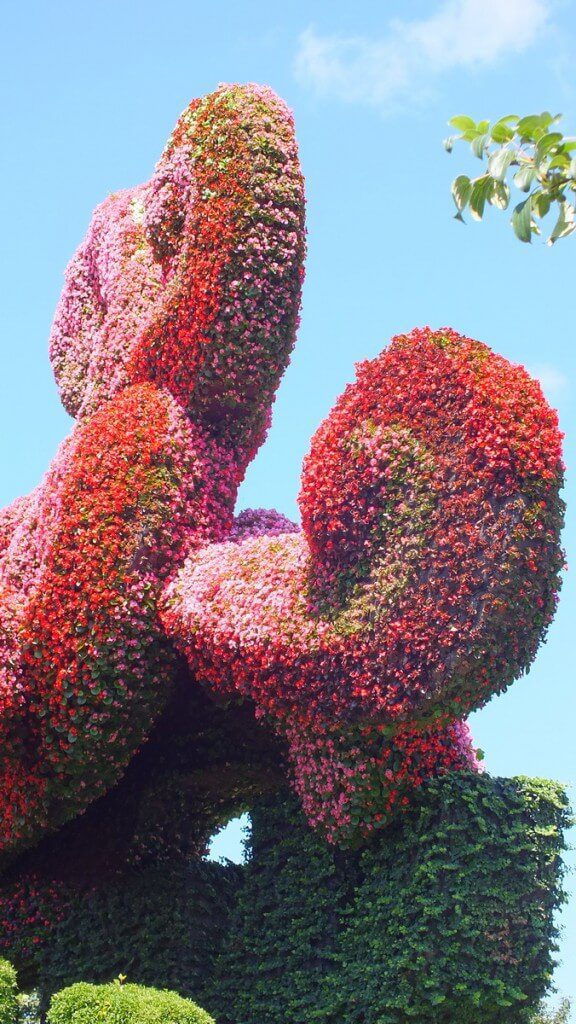 Planting plane trees to attract the Phoenix - (pink flowers) - Mosaiculture - Montreal Botancial Gardens