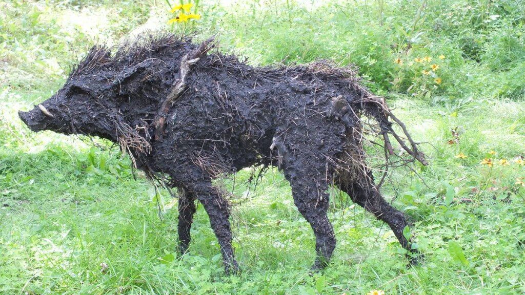 The Boars of Sally Island (one boar) - Mosaiculture - Montreal Botancial Gardens