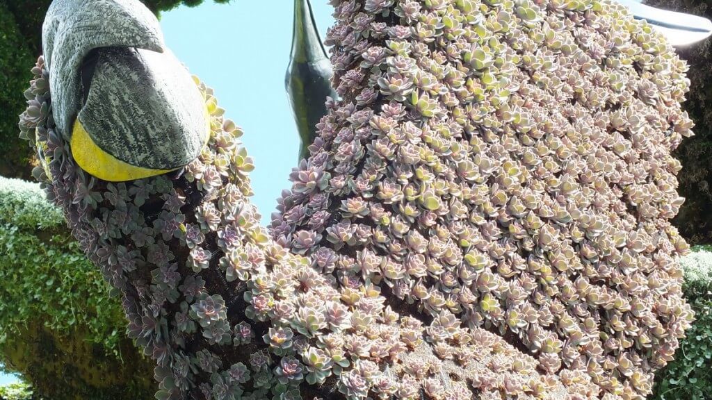 Tree of Birds (amazing wing) - Mosaiculture - Montreal Botancial Gardens