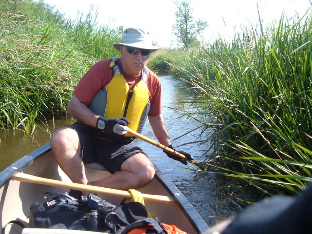bob canoeing through minesing wetlands, ontario