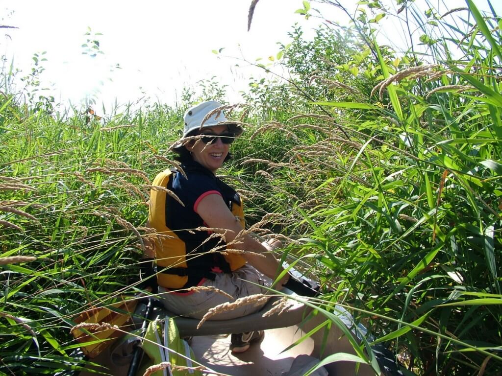 canoe route through minesing swamp, ontario