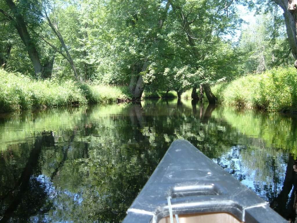 canoeing on nottawasaga river - minesing wetlands, ontario