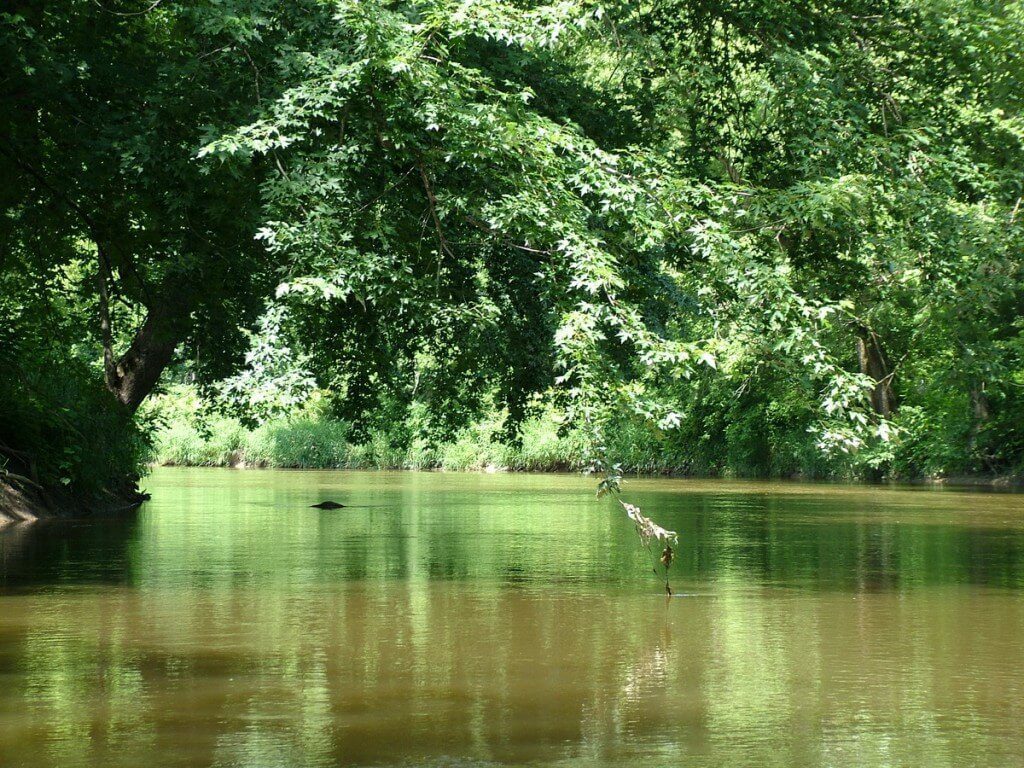 nottawasaga river - minesing wetlands, ontario