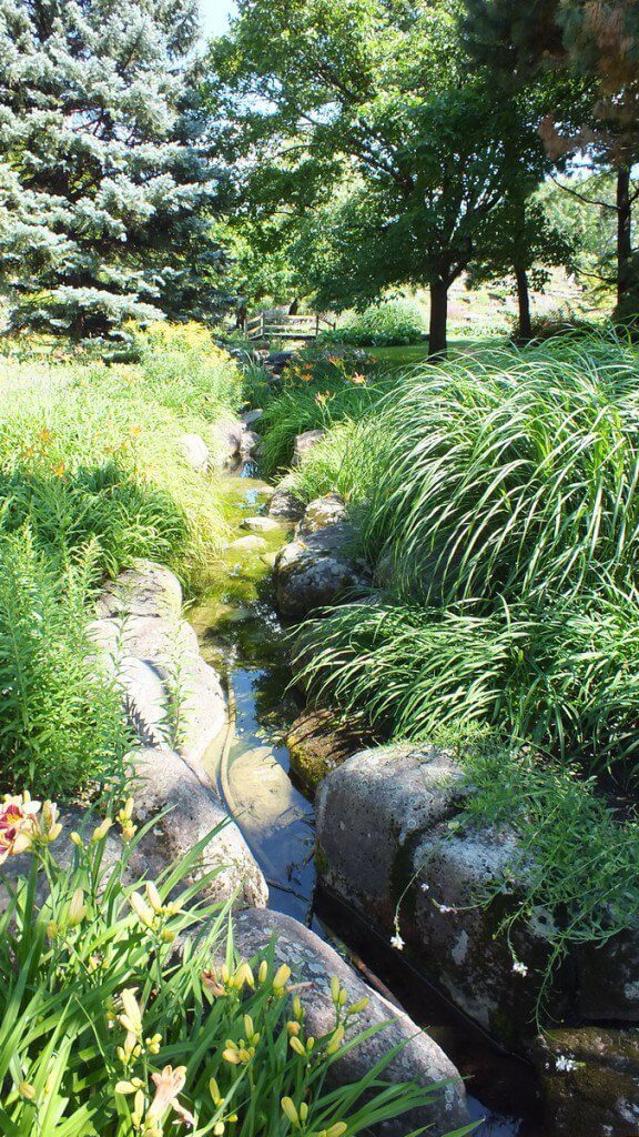 stream through Daylily Garden, Montreal Botanical Garden