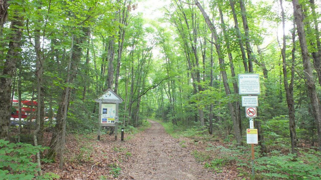 the beetle lake trail, oxtongue lake