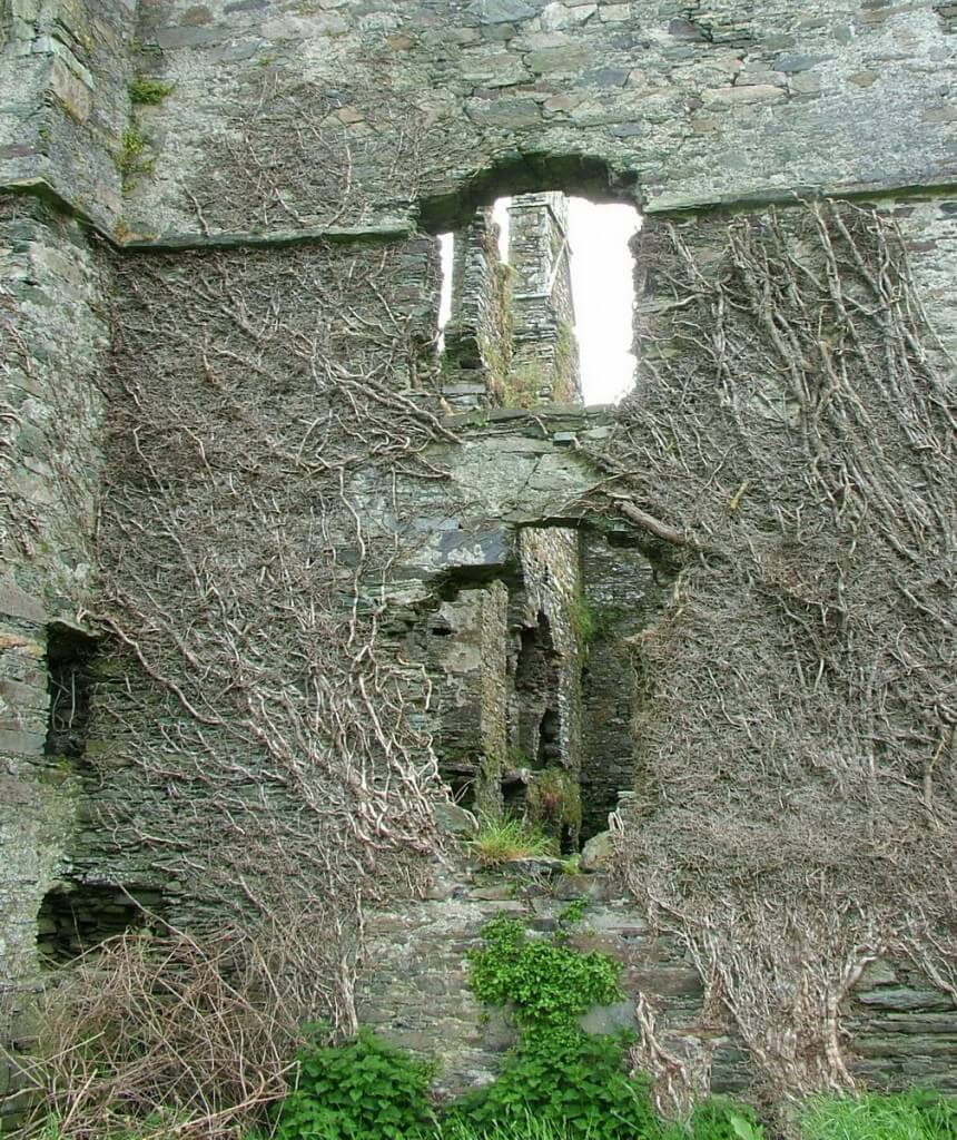 Coppinger's Court ruins, view through west wall, county cork, Ireland