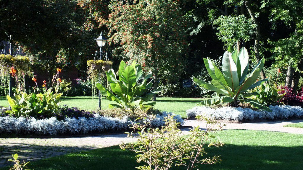 Rosetta McClain Gardens - decorative gardens - Toronto