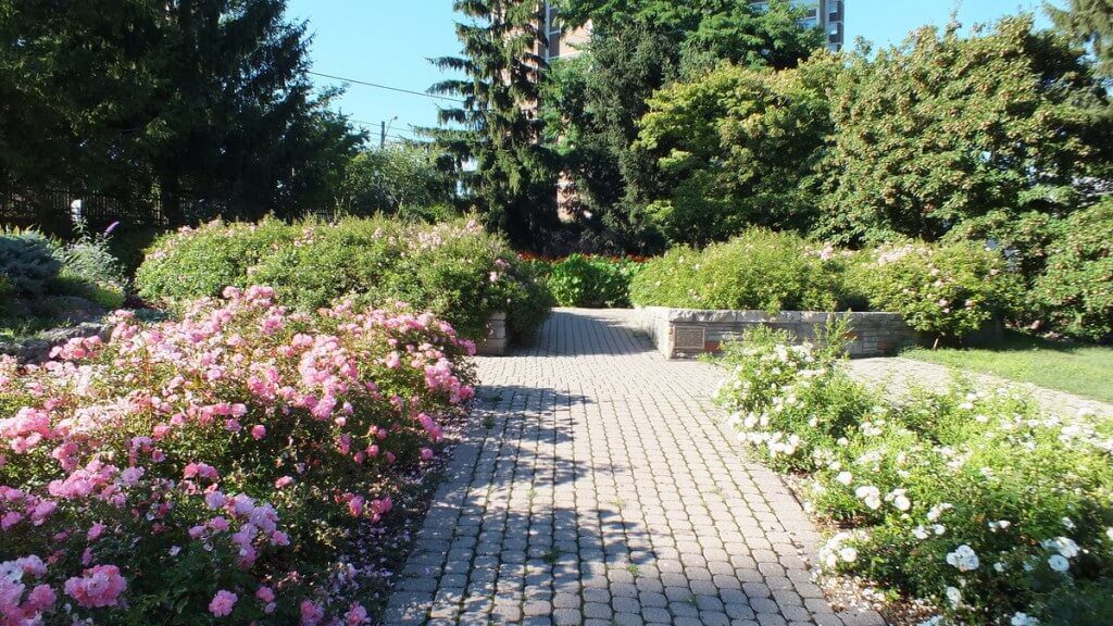 Rosetta McClain Gardens - formal rose garden - Toronto