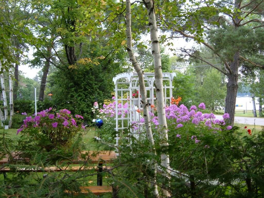 flower gardens at oxtongue lake - ontario - frame to frame bob & jean