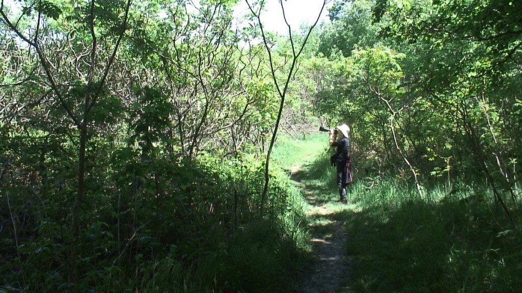 jean takes pictures of butterflies, forks of the credit provincial park, ontario