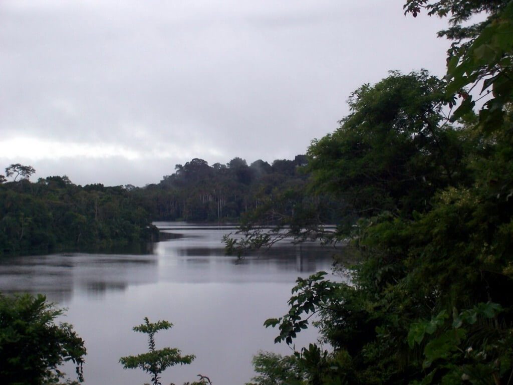 sandoval lake, amazon basin, peru
