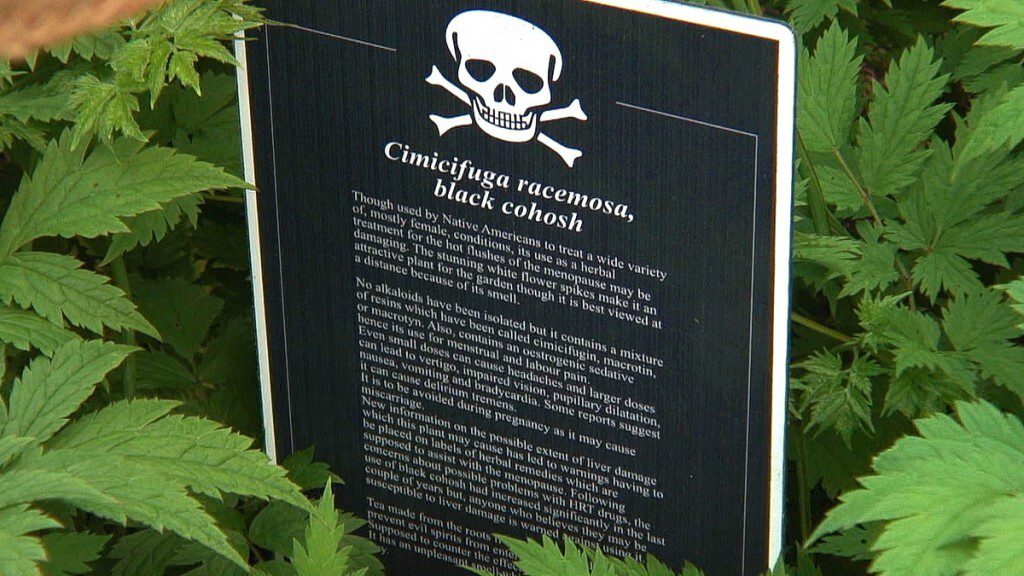 Black Cohosh sign in the Poison Garden at Blarney Castle in County Cork, Ireland