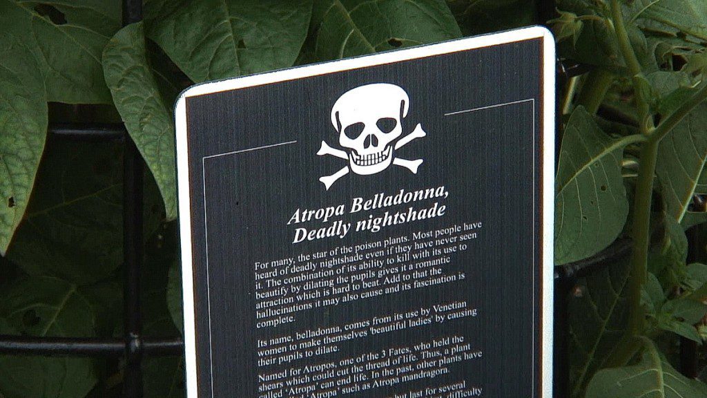 An image of the deadly nightshade skull and crossbones sign in the Poison Garden at Blarney Castle in Ireland. Photograph by Frame To Frame - Bob and Jean.