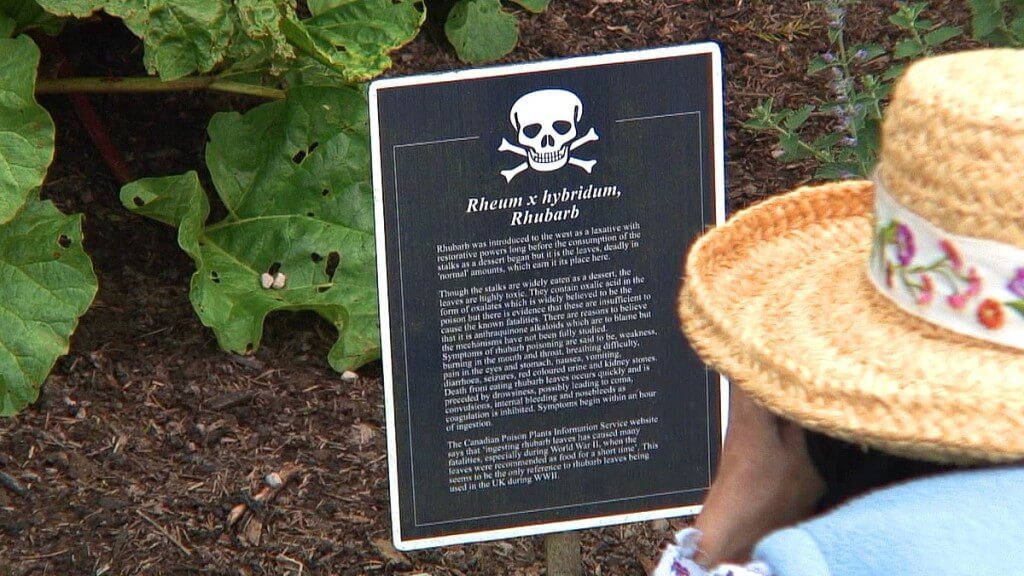 Jean takes a photograph of the Rhubarb sign in the Poison Garden at Blarney Castle in County Cork, Ireland