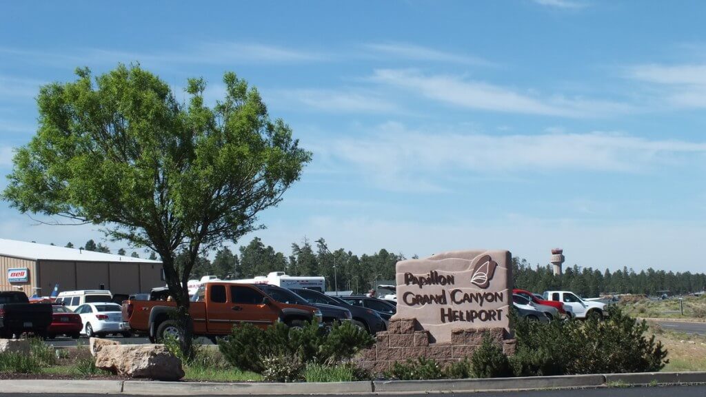 large tree growing at grand canyon heliport, arizona