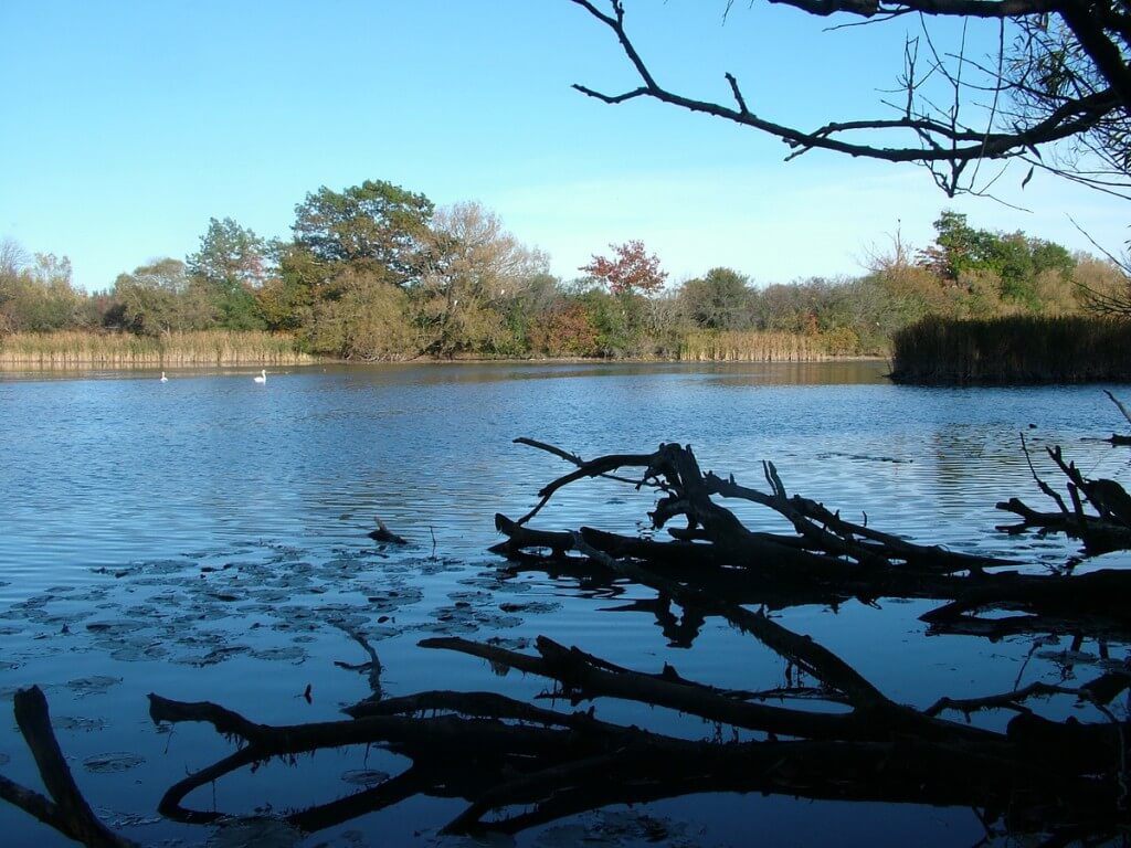 lynde shores conservation area, whitby, ontario