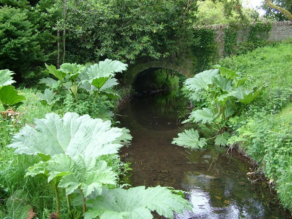 stream flows under stone bridge at blarney castle, ireland