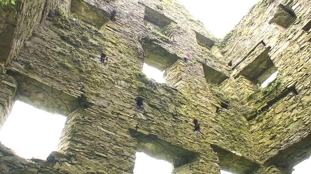 wall of windows, coppingers court ruins, ireland