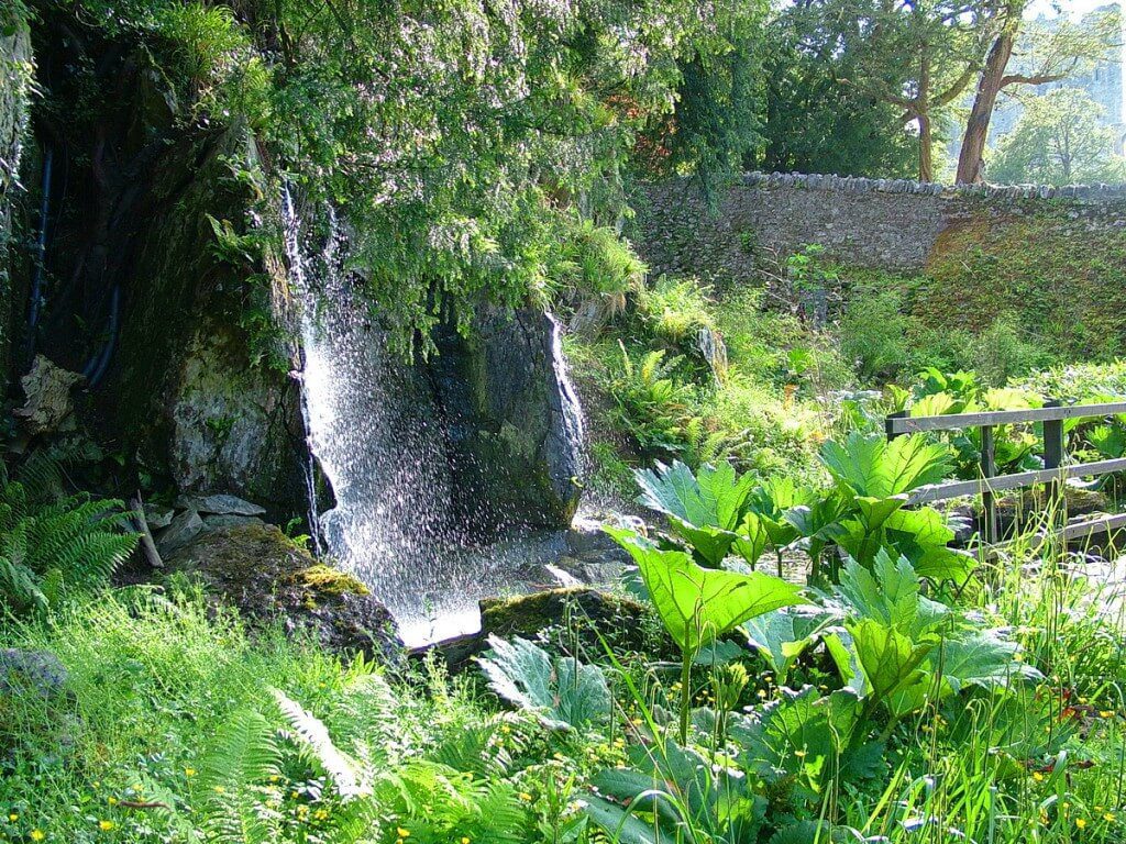 Waterfall and lush plants at Blarney Castle in County Cork, Ireland