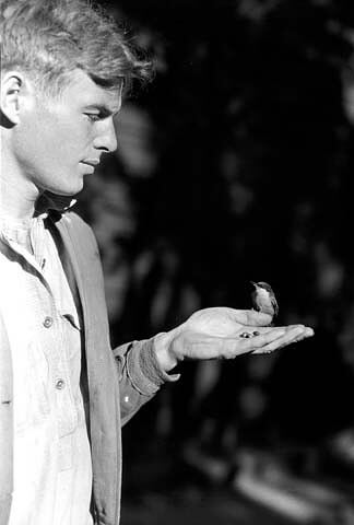 Edwin McKee with a Pygmy Nuthatch at Grand Canyon National Park in Arizona, USA