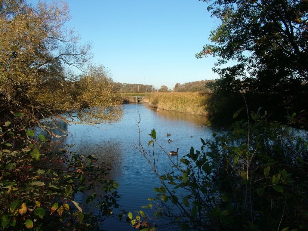 view of swamp-Lynde shores conservation