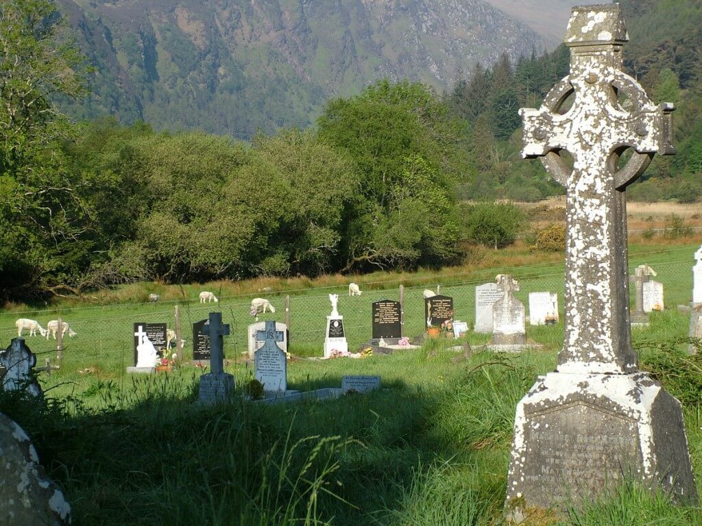 Sheep in a field beside Glendalough graveyard - Ireland