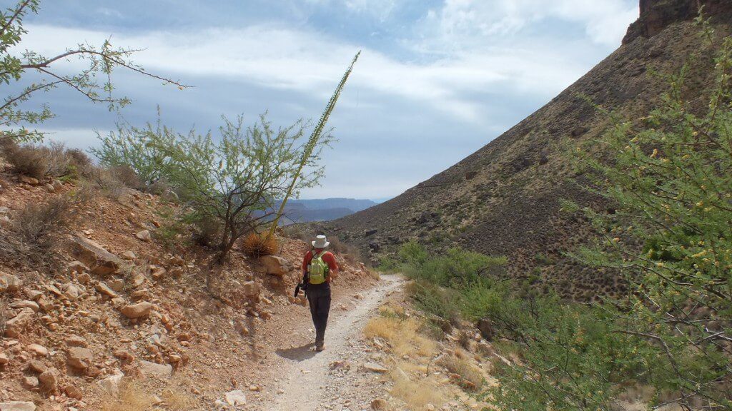bob hiking on plateau point trail at the grand canyon