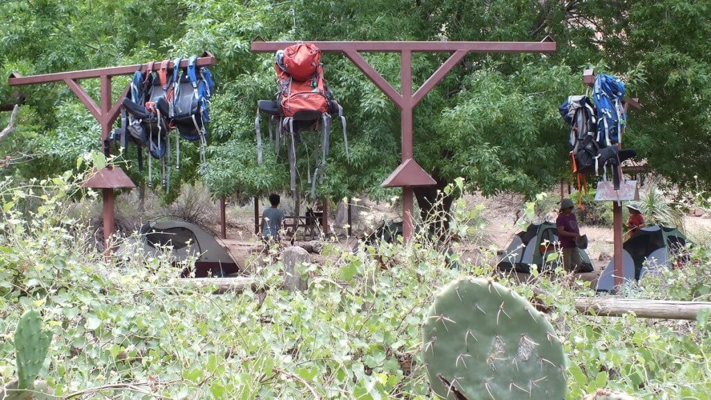 campground at indian garden, grand canyon 