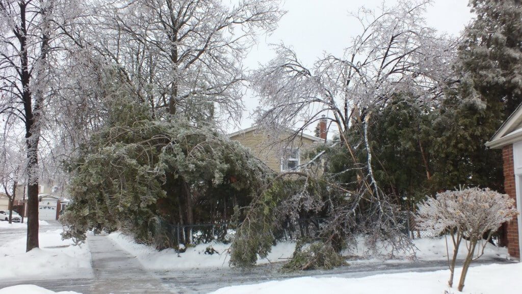 ice storm toronto 2013 - pic1