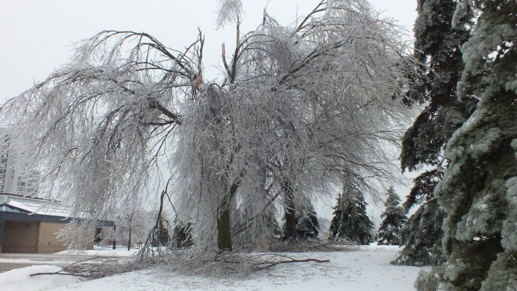 ice storm toronto 2013 - pic10