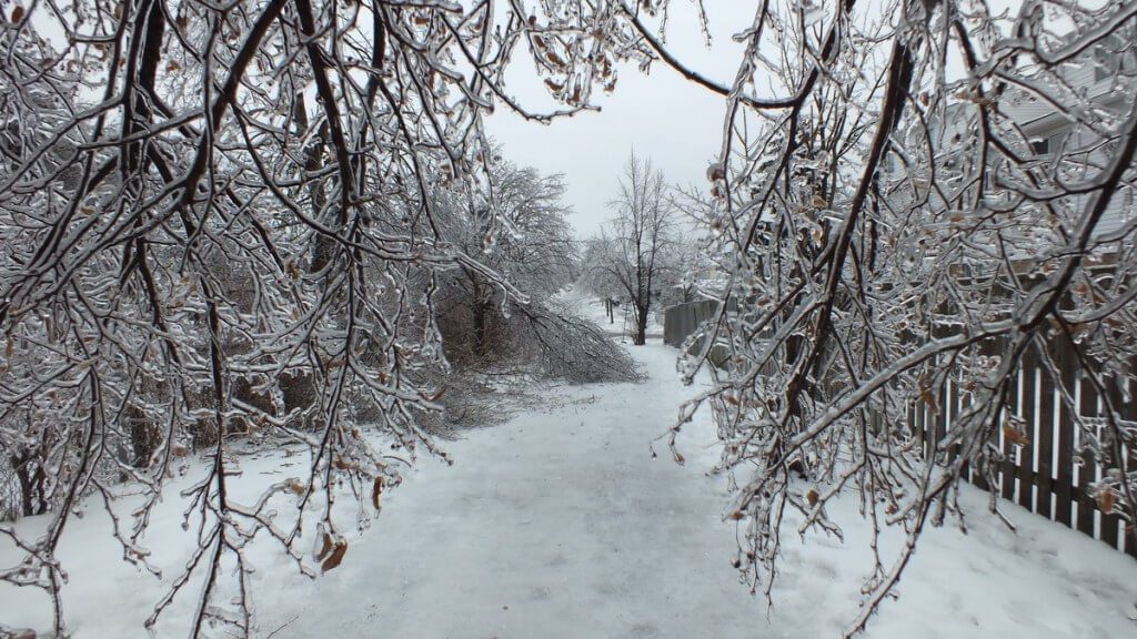 ice storm toronto 2013 - pic18